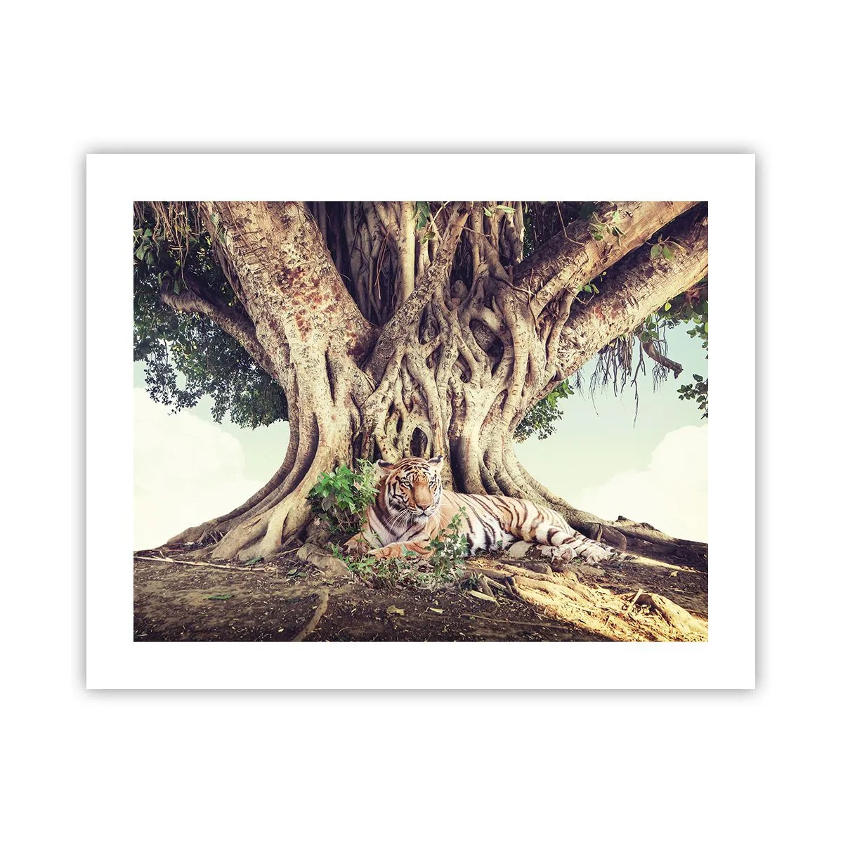 Poster - Blick aus dem Buch Genesis - 50x40 cm