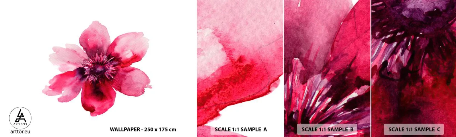 Fototapetenmuster Standard Eco - Ein nach Karmin duftender Kuss - Blume, Aquarelle, Grafik - 100x30 cm