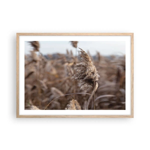 Poster in einem Rahmen aus heller Eiche - Zeit, mit dem Wind zu gehen - 70x50 cm