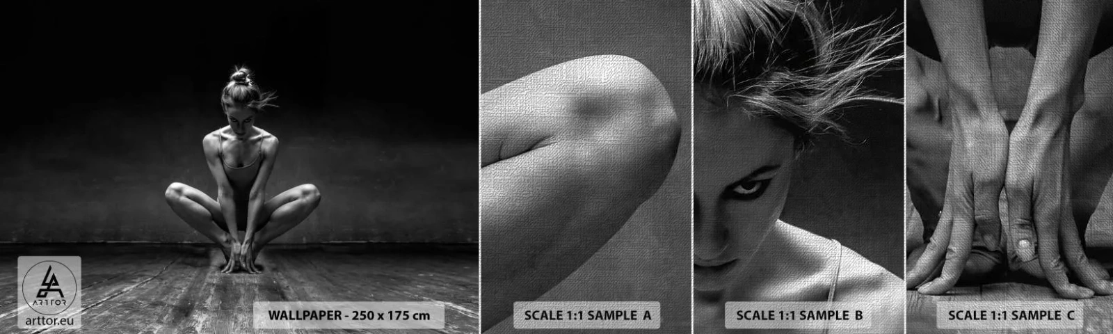 Fototapeten Muster Premium Canvas - Konzentration der Tanzenergie - Tänzer, Frau, Schwarz und weiß - 100x30 cm