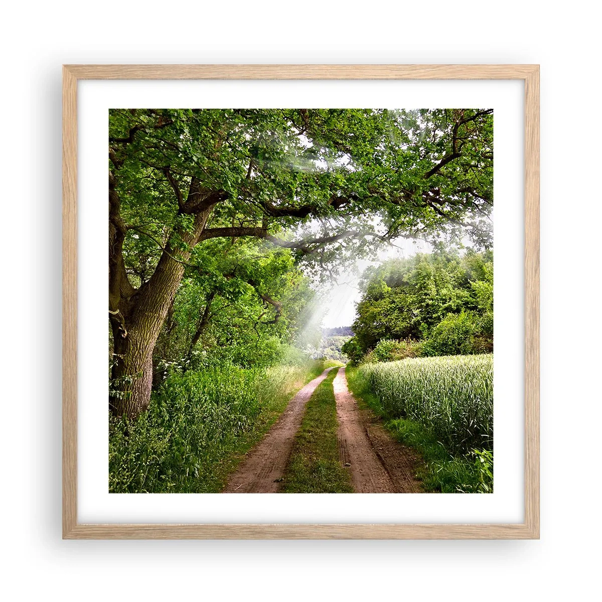 Poster in einem Rahmen aus heller Eiche - Et in Arcadia ego - 50x50 cm