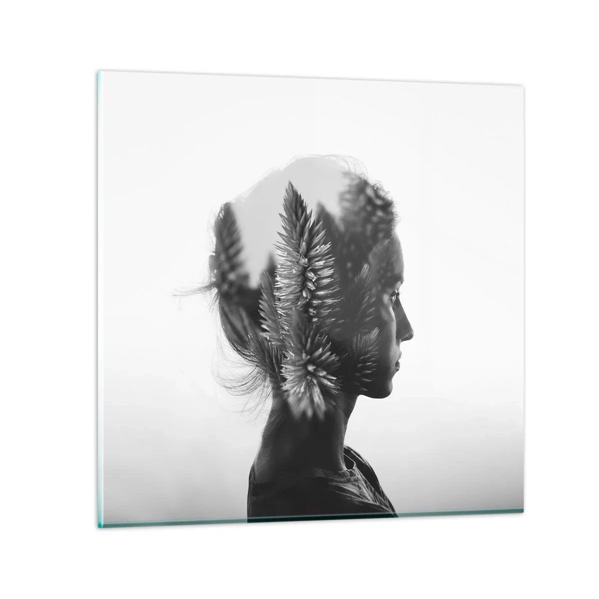 Glasbild - Bild auf glas - Dame des Kiefernwaldes - 50x50 cm