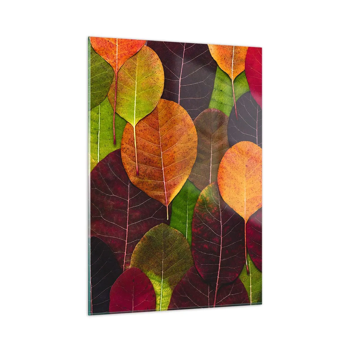Glasbild - Bild auf glas - Bunte Herbstblätter kunstvoll arrangiert - 50x70cm - Herbstmosaik - Moderne Wanddekoration für Wohnzimmer und Schlafzimmer ARTTOR