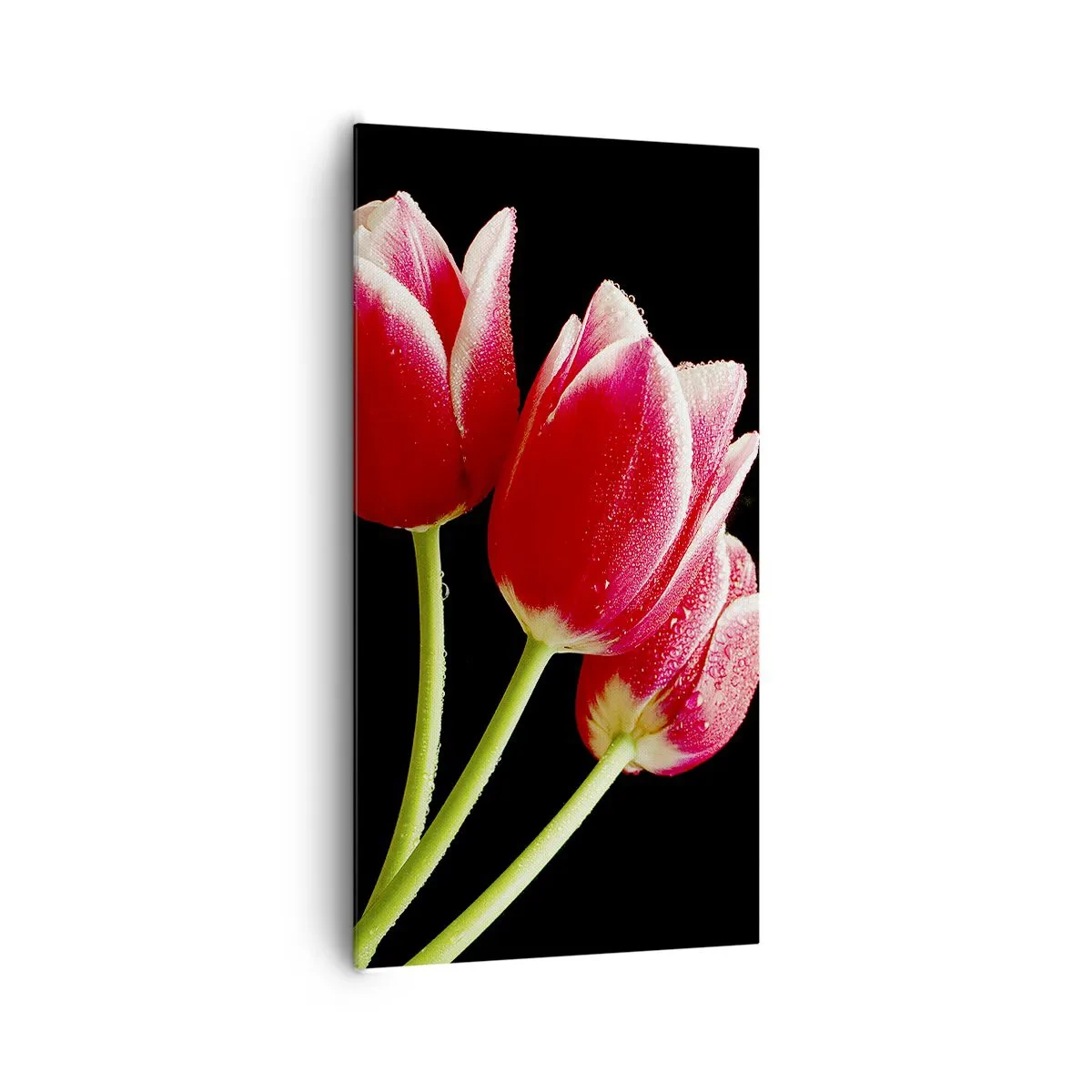 Bild auf Leinwand - Leinwandbild - Ein Versprechen der reinen Liebe - 65x120 cm