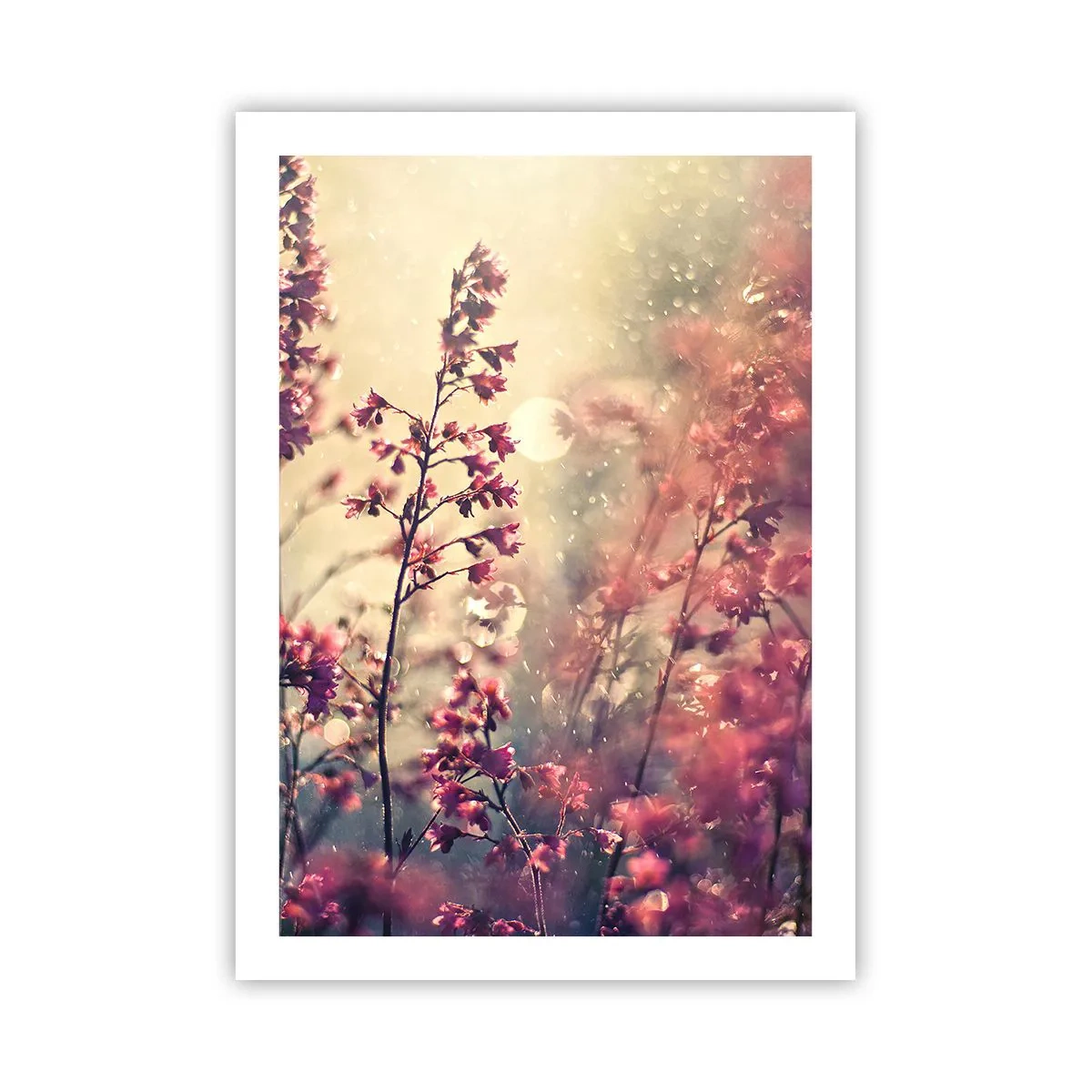 Poster - Blumen im Licht der untergehenden Sonne - 50x70cm - Geheimnisvoller Garten - Moderne Wanddekoration für Wohnzimmer und Schlafzimmer ARTTOR