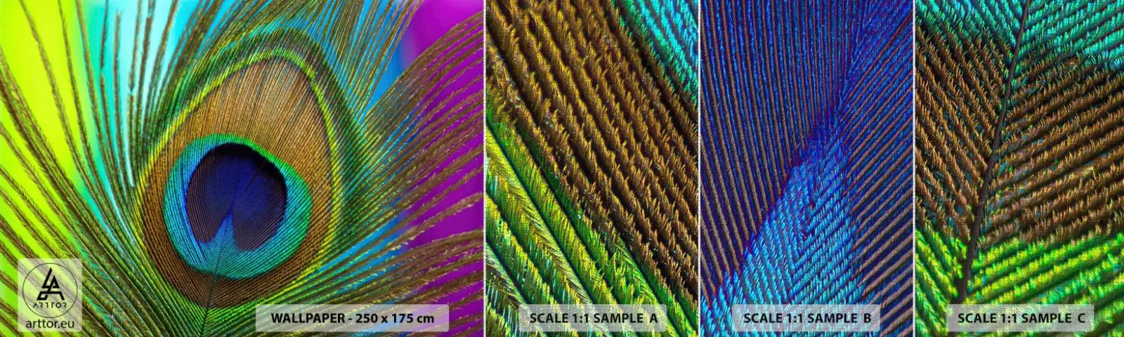 Fototapeten Muster Premium Canvas - Auge in Auge - Abstraktion, Pfauenfeder, Stück - 100x30 cm