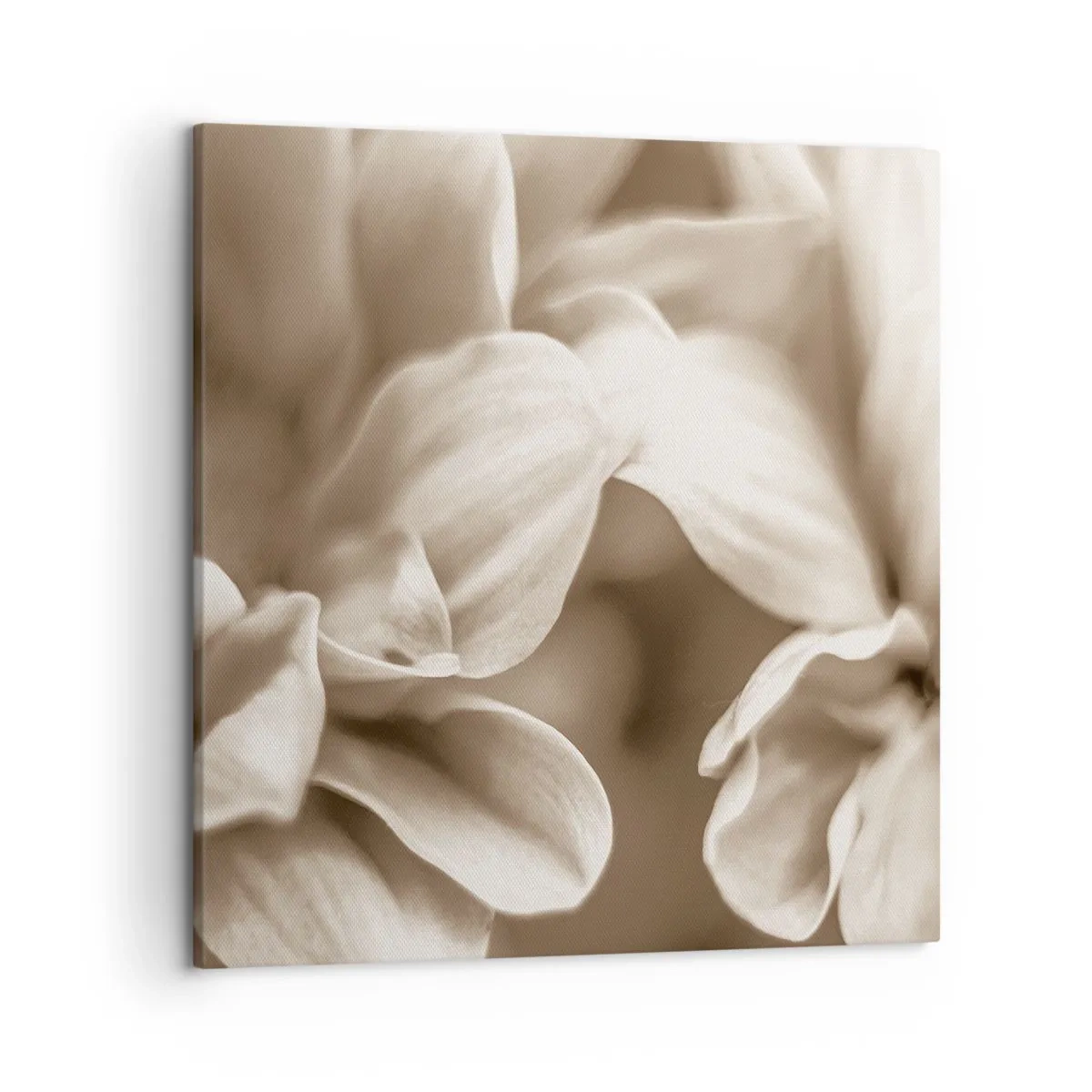 Bild auf Leinwand - Leinwandbild - So sanft wie ein Lächeln - 50x50 cm