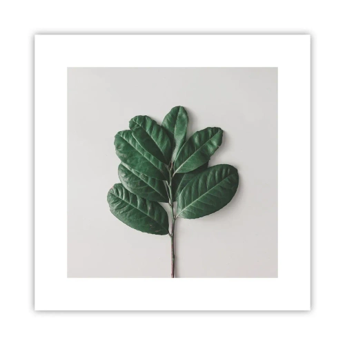 Poster - Eine Zeichnung purer Natur - 30x30 cm