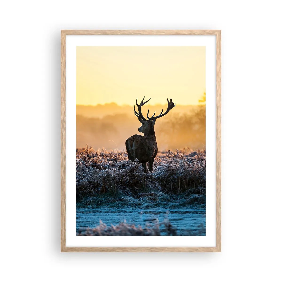 Poster in einem Rahmen aus heller Eiche - Gekrönt auf seinem Besitz - 50x70 cm