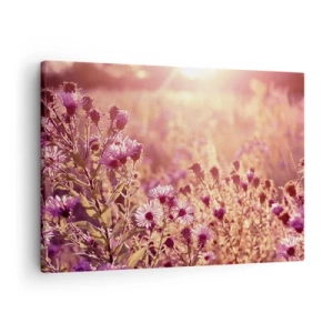 Bild auf Leinwand - Leinwandbild - Wiese im Licht der untergehenden Sonne - 70x50cm - Bevor der Sommer vorbei ist - Moderne Wanddekoration für Wohnzimmer und Schlafzimmer ARTTOR