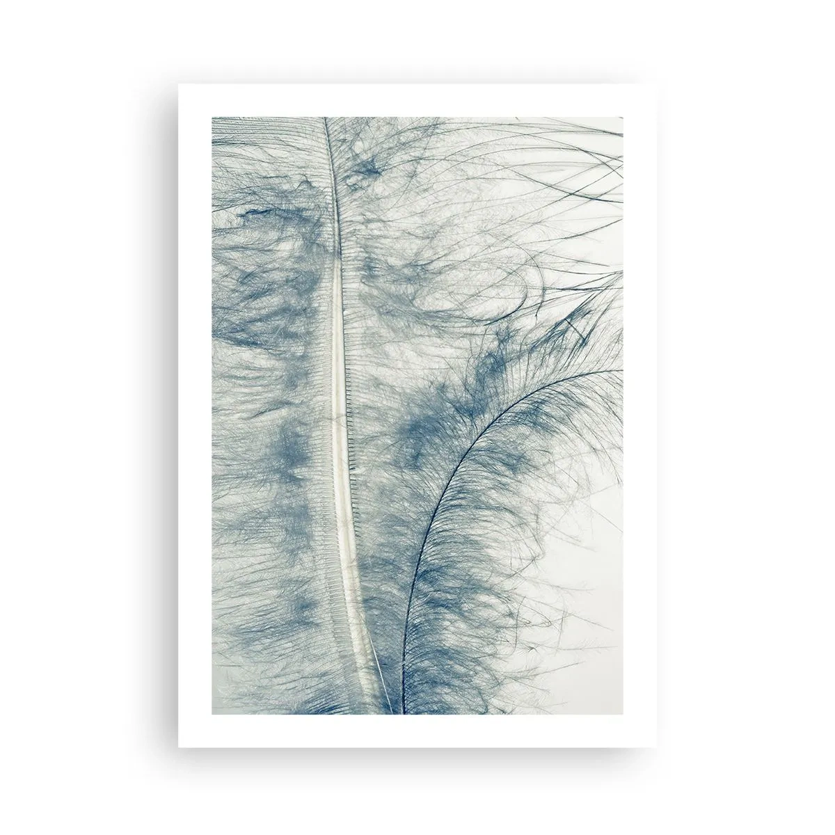 Poster - Eine zarte Feder in dezenten Blautönen - 50x70cm - Flüstern der Natur - Moderne Wanddekoration für Wohnzimmer und Schlafzimmer ARTTOR