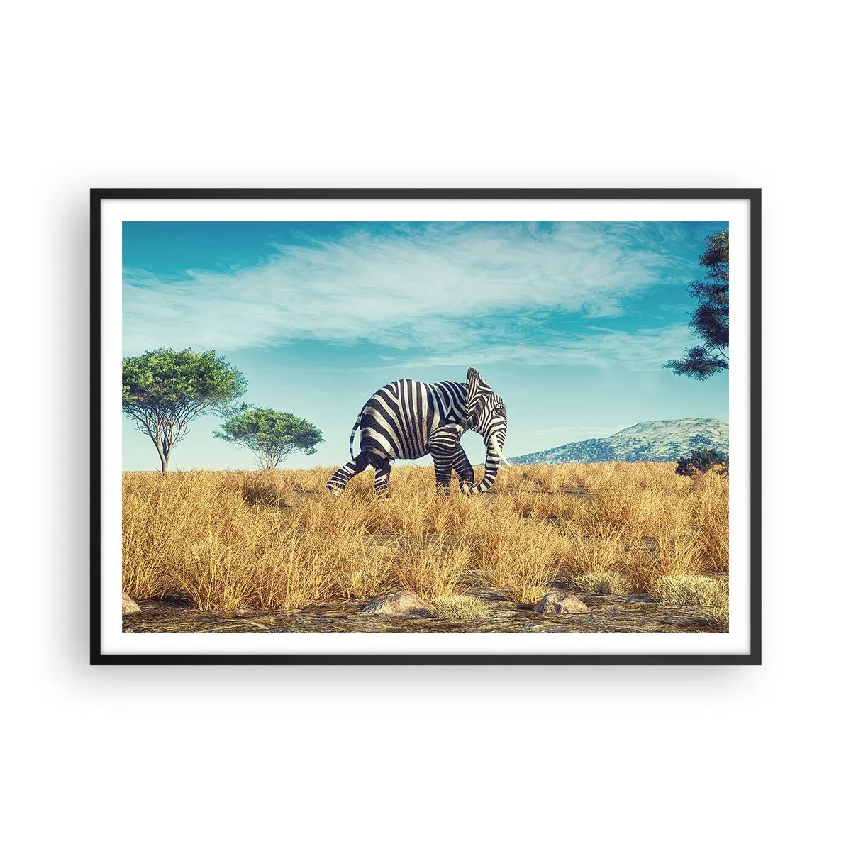 Poster in einem schwarzem Rahmen - Zebra in einer afrikanischen Landschaft - 100x70cm - Grau ist nicht mehr in Mode - Moderne Wanddekoration für Wohnzimmer und Schlafzimmer ARTTOR