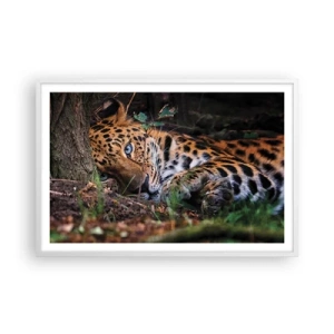 Poster in einem weißen Rahmen - Vertrau mir - 91x61 cm