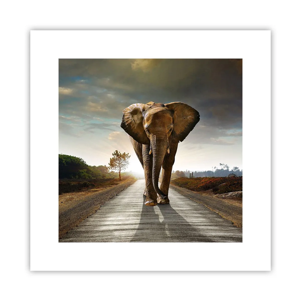 Poster - Und schon gar nicht in einem Porzellanlager - 30x30 cm