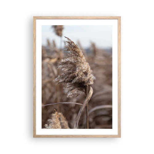 Poster in einem Rahmen aus heller Eiche - Zeit, mit dem Wind zu gehen - 50x70 cm