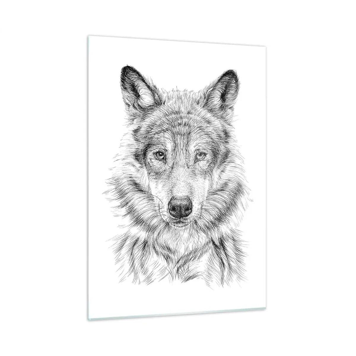 Glasbild - Bild auf glas - Schwarz-weiße Skizze eines Wolfskopfes auf weißem Hintergrund - 50x70cm - Ein geborener Anführer - Moderne Wanddekoration für Wohnzimmer und Schlafzimmer ARTTOR