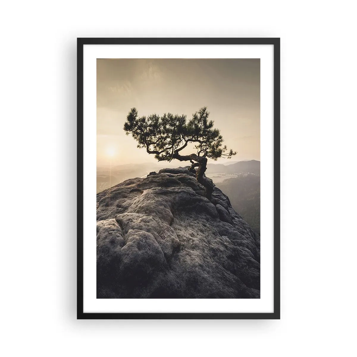 Poster in einem schwarzem Rahmen - Ein einsamer Baum auf einem felsigen Gipfel im Licht der untergehenden Sonne - 50x70cm - Das Leben gewinnt immer - Moderne Wanddekoration für Wohnzimmer und Schlafzimmer ARTTOR