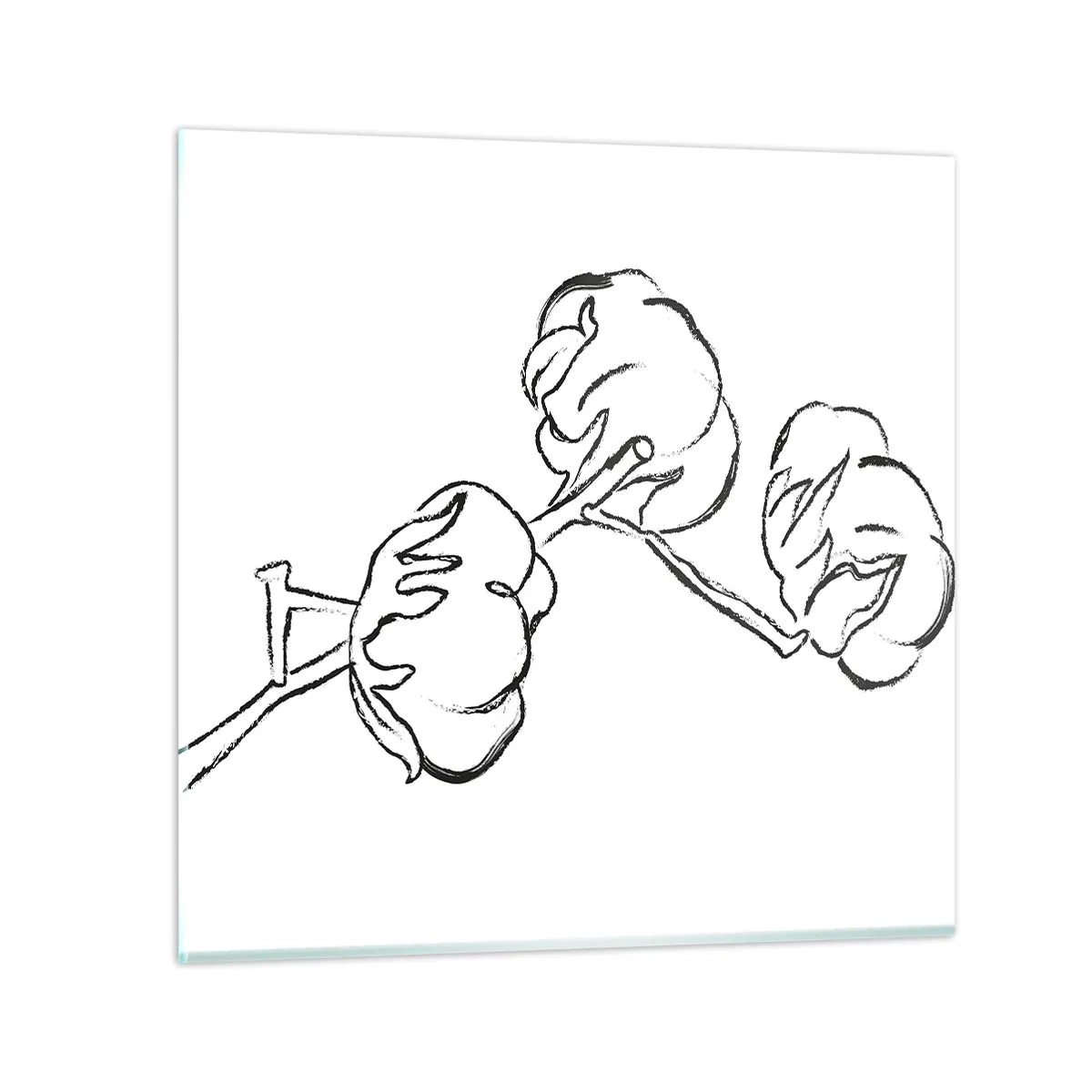 Glasbild - Bild auf glas - Baumwolldaunen - 60x60 cm