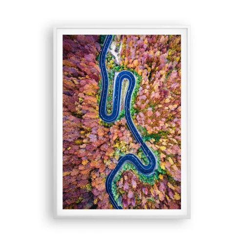 Poster in einem weißen Rahmen - Kurvenreicher Weg durch den Wald - 70x100 cm