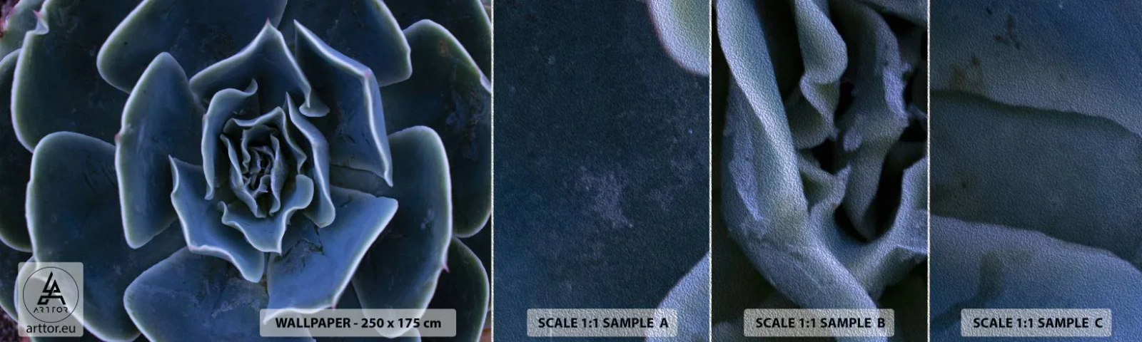 Fototapeten Muster Premium Sand - Wüstenblume - Agavenblüte, Blume, Natur - 100x30 cm