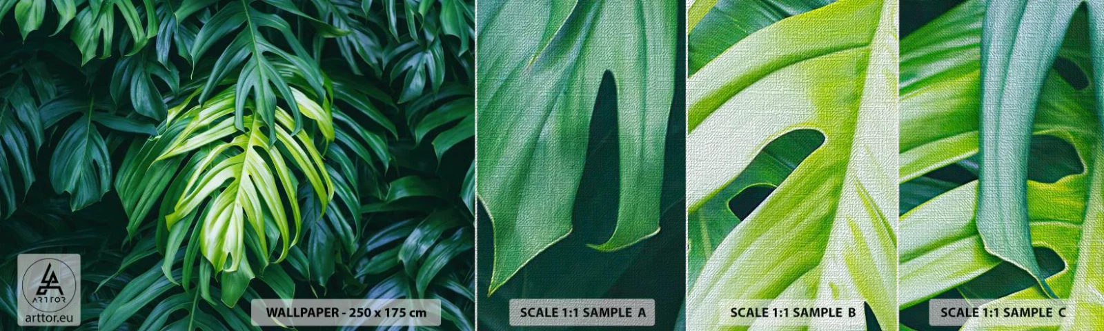 Fototapeten Muster Premium Canvas - Tauchen Sie ein in die Frische - Tropische Pflanze, Monstera-Blatt, Natur - 100x30 cm