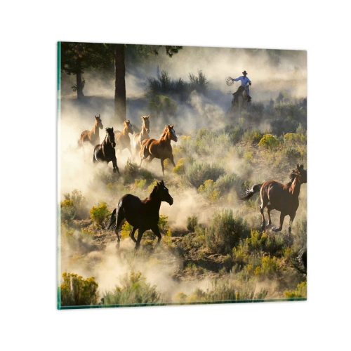 Glasbild - Bild auf glas - Rivalität – Freiheit oder männliche Stärke? - 50x50 cm