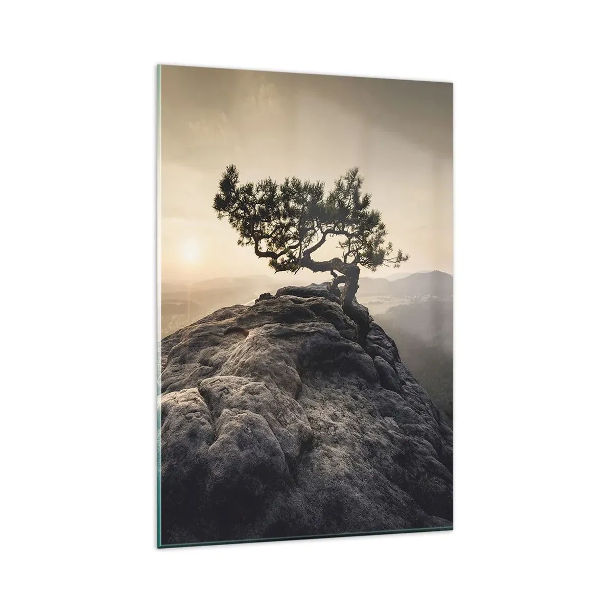 Glasbild - Bild auf glas - Ein einsamer Baum auf einem felsigen Gipfel im Sonnenlicht - 80x120cm - Das Leben gewinnt immer - Moderne Wanddekoration für Wohnzimmer und Schlafzimmer ARTTOR