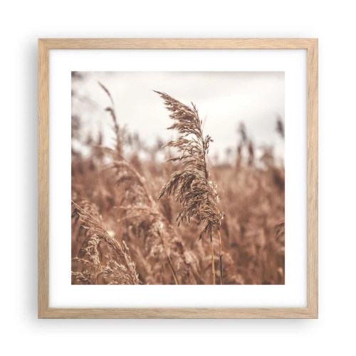 Poster in einem Rahmen aus heller Eiche - Auf den Feldern ist es schon Herbst - 40x40 cm
