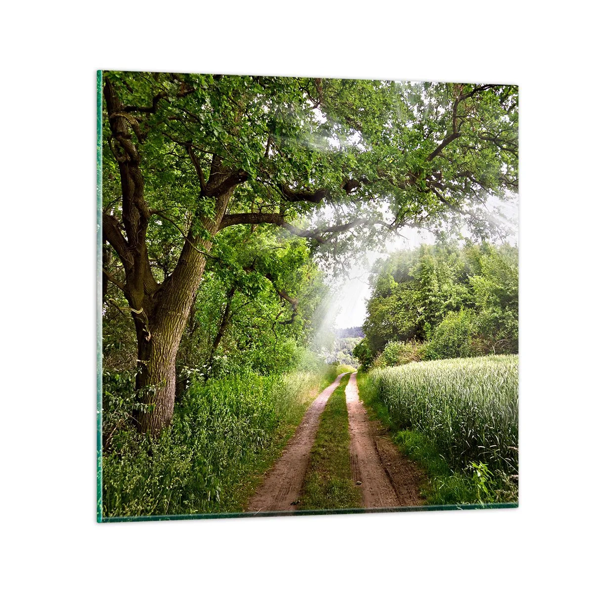 Glasbild - Bild auf glas - Et in Arcadia ego - 60x60 cm