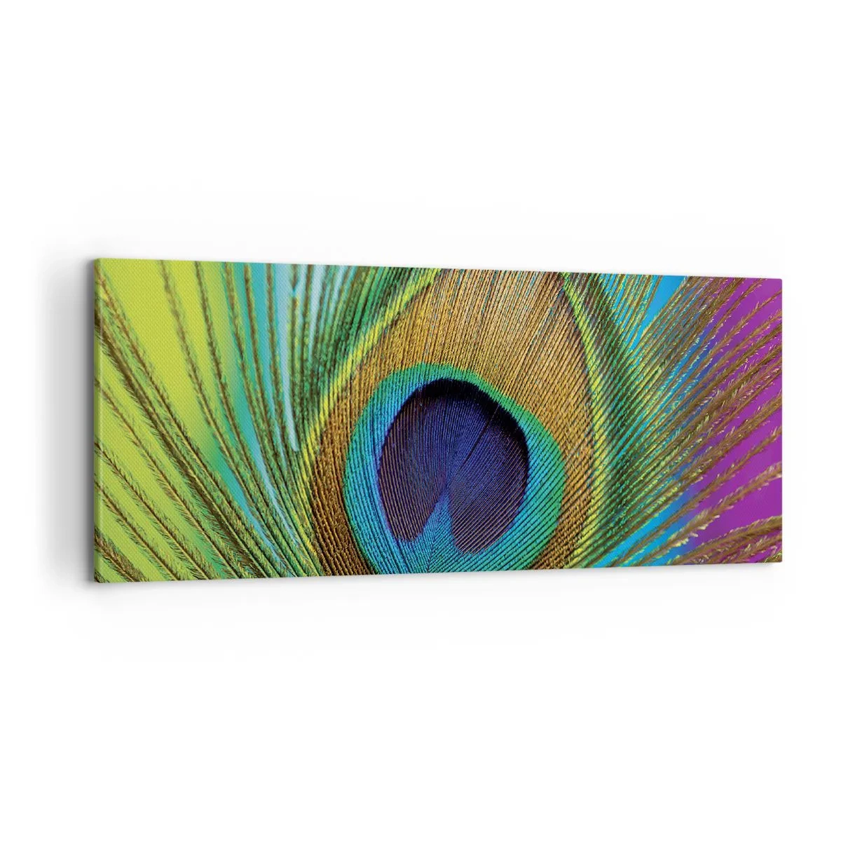 Bild auf Leinwand - Leinwandbild - Auge in Auge - 100x40 cm