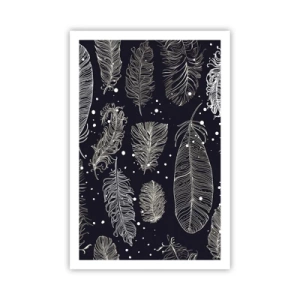 Poster - Gefiederte Spitze - 61x91 cm