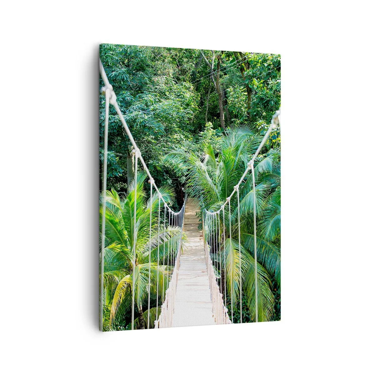 Bild auf Leinwand - Leinwandbild - Eine Hängebrücke in einem tropischen Dschungel voller Grün - 50x70cm - Willkommen im Dschungel! - Moderne Wanddekoration für Wohnzimmer und Schlafzimmer ARTTOR