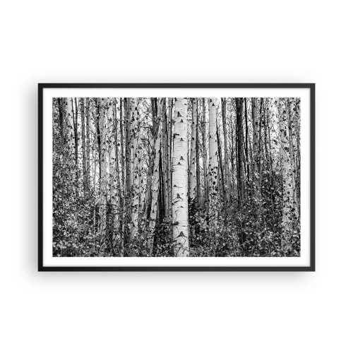 Poster in einem schwarzem Rahmen - Birkenkolonnade - 91x61 cm