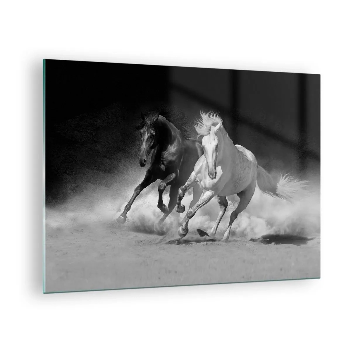 Glasbild - Bild auf glas - Laufende Pferde in Schwarz und Weiß - 70x50cm - Galopp der Freiheit - Moderne Wanddekoration für Wohnzimmer und Schlafzimmer ARTTOR