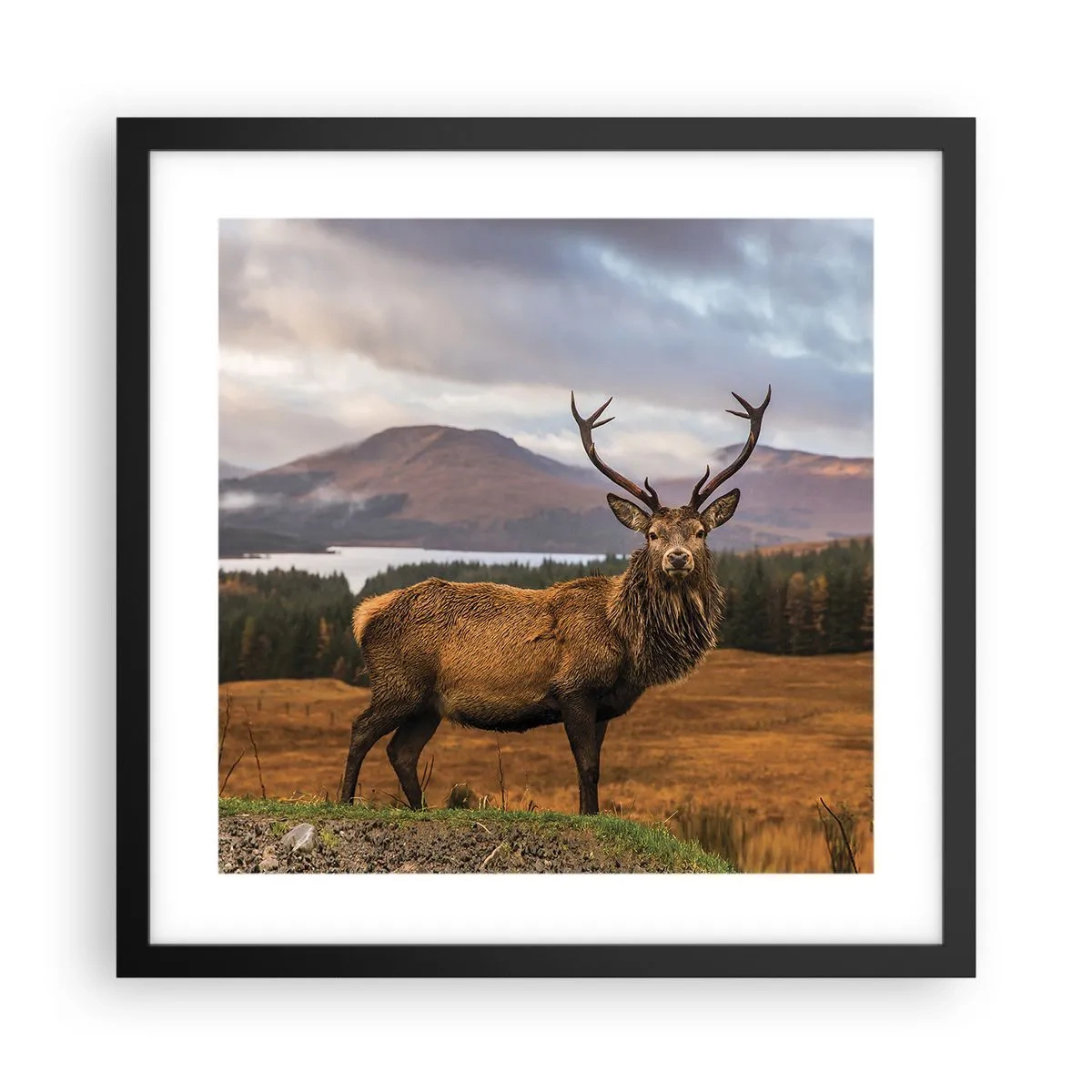 Poster in einem schwarzem Rahmen - Die Majestät der Natur - 40x40 cm