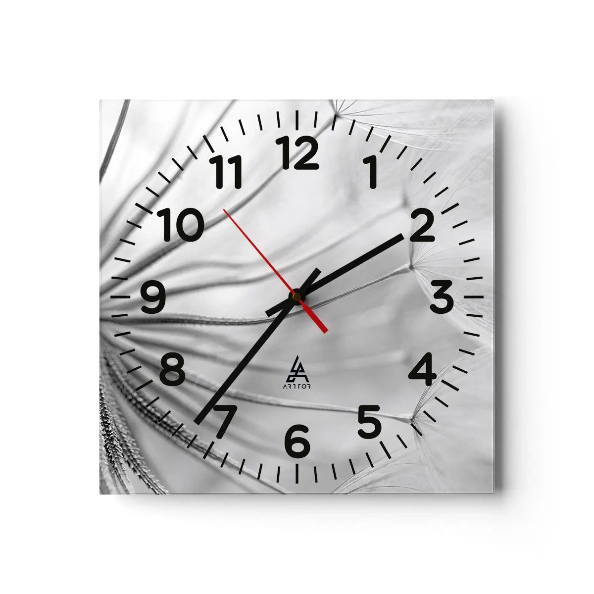Wanduhr - Glasuhr - Löwenzahn, Drachen - 40x40 cm