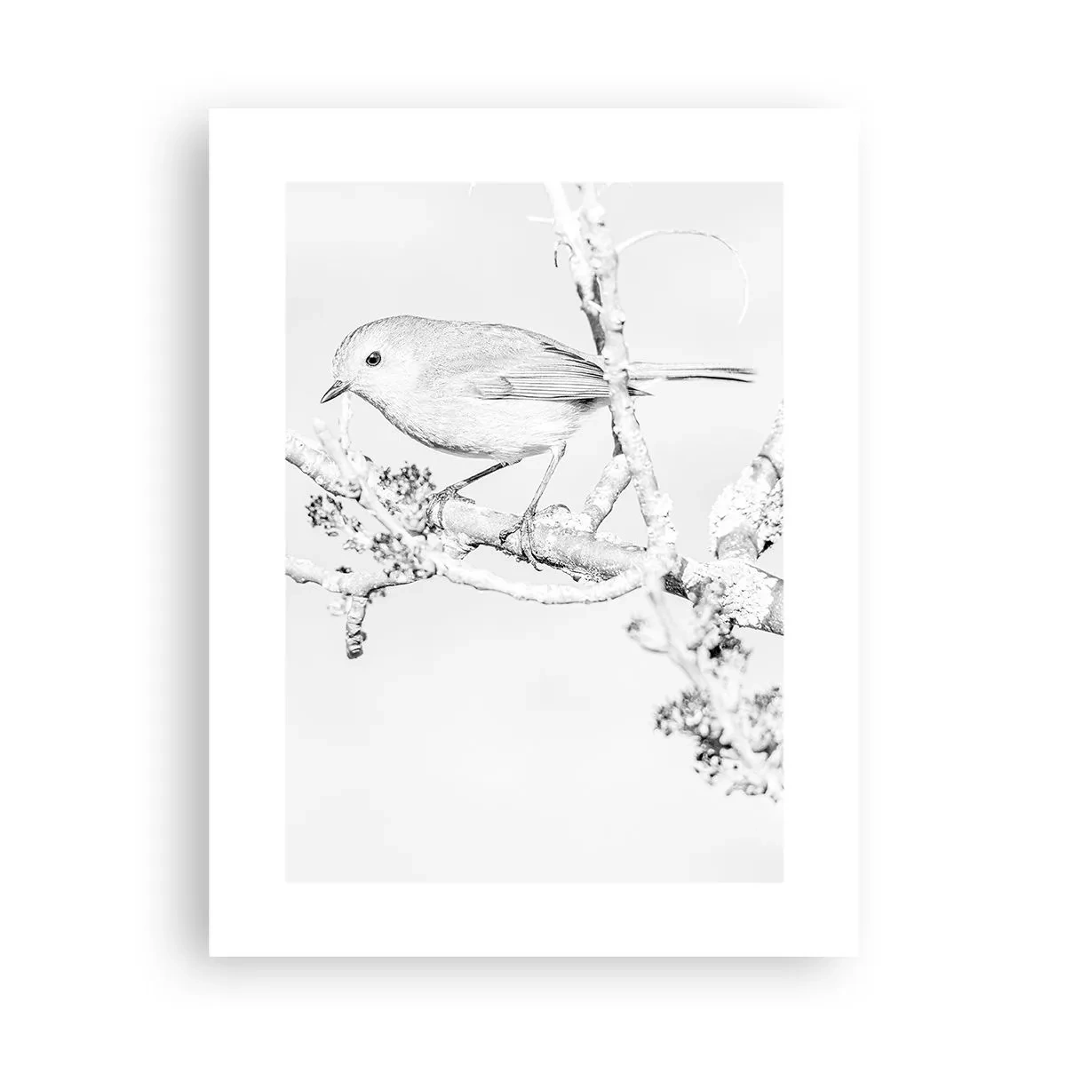 Poster - Wintermorgen - 30x40 cm