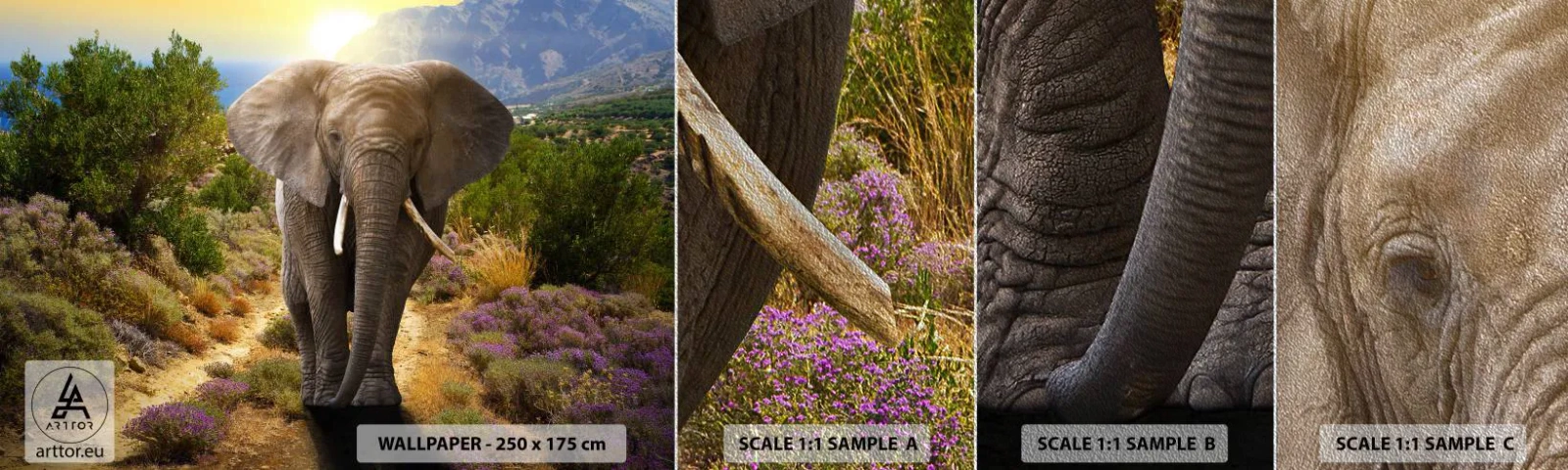 Fototapeten Muster Premium Sand - So sah Eden aus - Tiere, Elefant, Safari - 100x30 cm