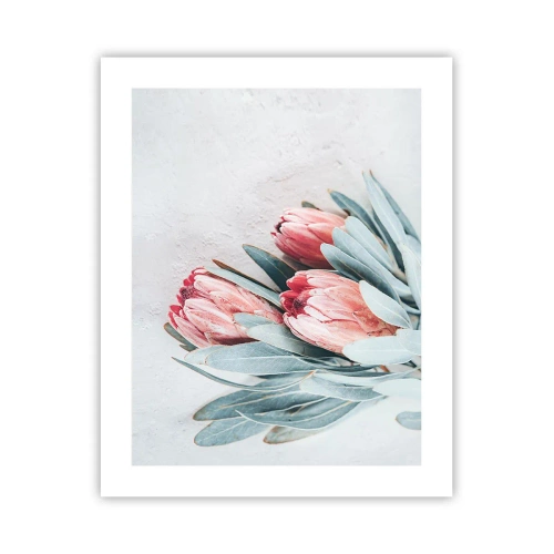 Poster - Schämen sich für ihre eigene Schönheit - 40x50 cm