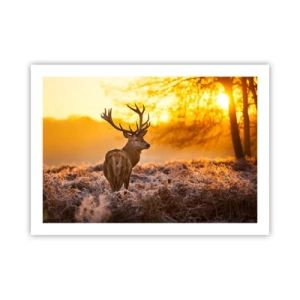 Poster - König des Herbstwaldes - 70x50 cm