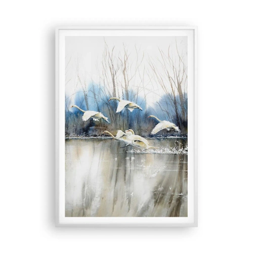 Poster in einem weißen Rahmen - Wie im Märchen von den wilden Schwänen - 70x100 cm