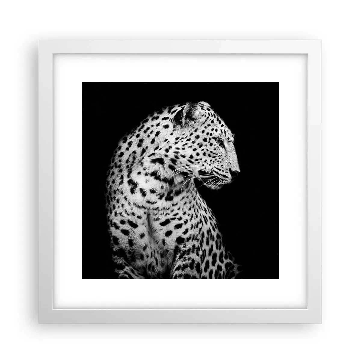 Poster in einem weißen Rahmen - Rechtes Profil perfekt! - 30x30 cm