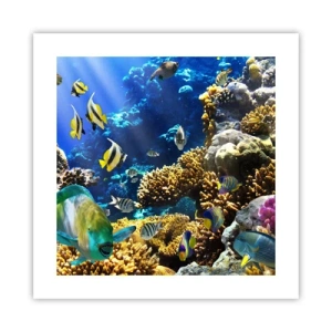 Poster - Viel Verkehr auf dem Ferienweg - 40x40 cm