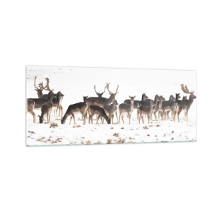 Glasbild - Bild auf glas - Kommen die Weihnachten? - 100x40 cm