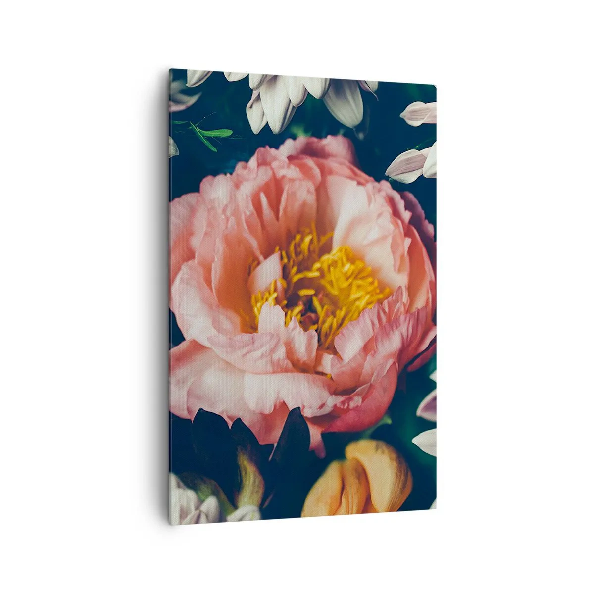 Bild auf Leinwand - Leinwandbild - Blumenarrangement mit Pfingstrosen und Chrysanthemen auf dunklem Hintergrund - 80x120cm - Mit barocker Pracht - Moderne Wanddekoration für Wohnzimmer und Schlafzimmer ARTTOR