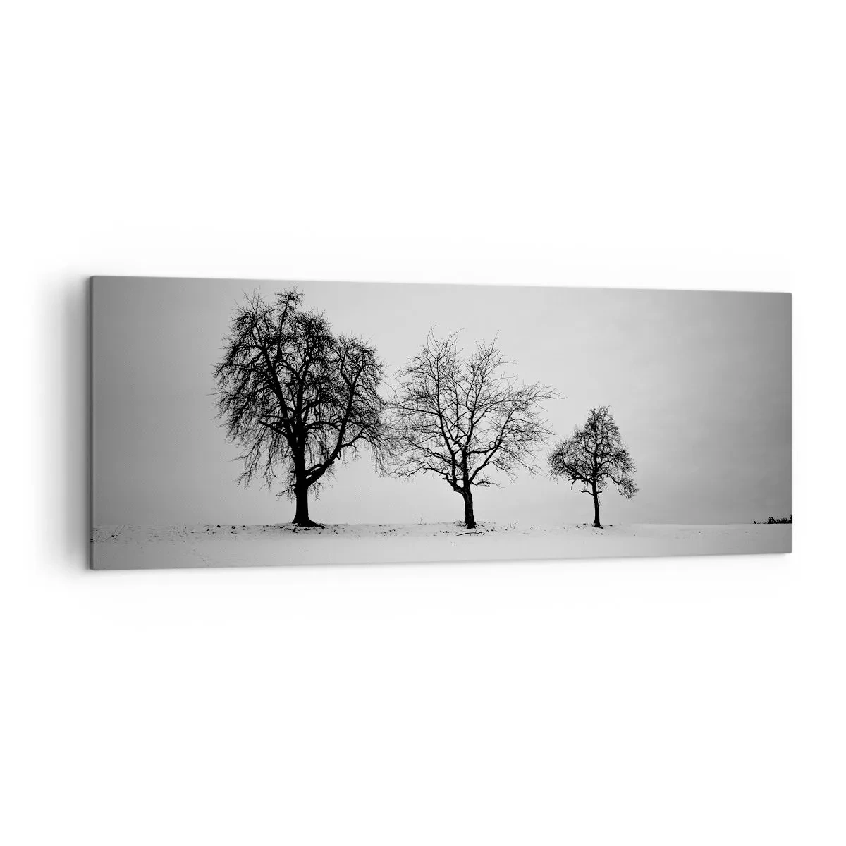 Bild auf Leinwand - Leinwandbild - Drei Bäume auf einem schneebedeckten Feld im monochromen Stil - 140x50cm - Wovon träumen sie? - Moderne Wanddekoration für Wohnzimmer und Schlafzimmer ARTTOR