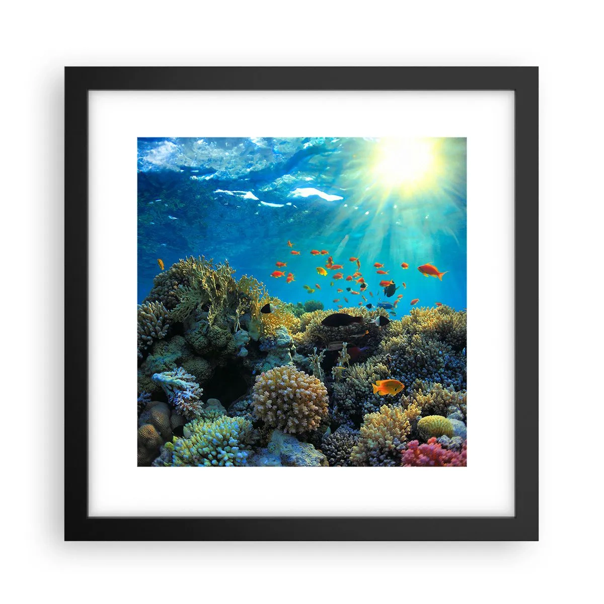 Poster in einem schwarzem Rahmen - Unterwasserschätze - 30x30 cm