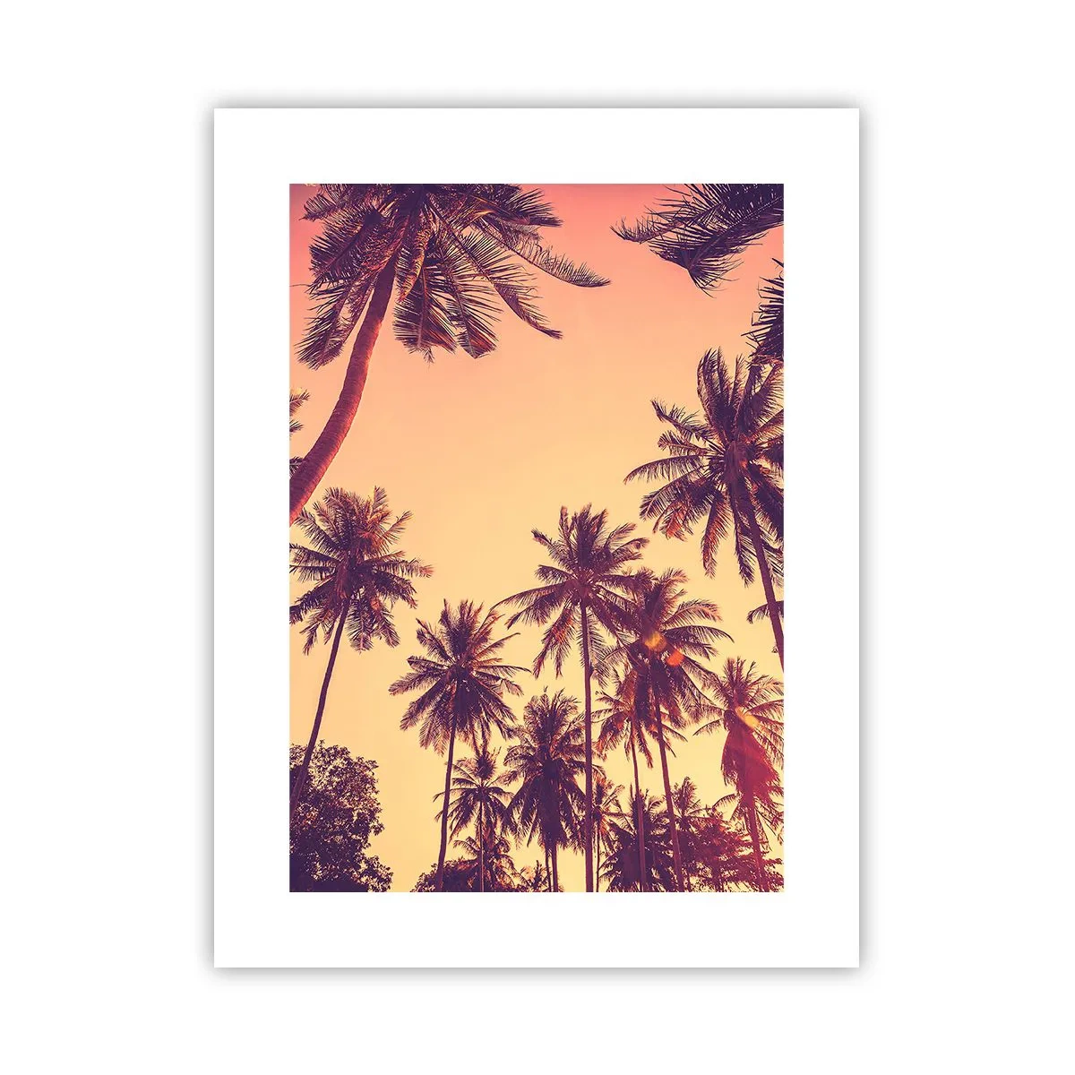 Poster - Tropische Variante - 30x40 cm