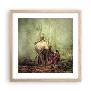 Poster in einem Rahmen aus heller Eiche - Neues Dschungelbuch - 40x40 cm