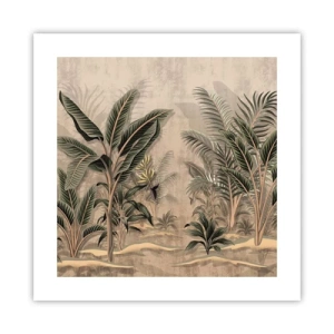 Poster - Eine Gravur im Kolonialstil - 40x40 cm